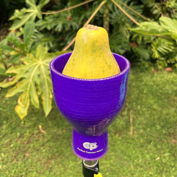 The Perfect Purple (Fruit) Picker