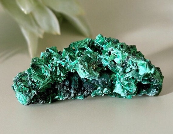 Unique Velvet Malachite Crystal | Silky Malachite | Vibrant Malachite Specimen | Rare Malachite