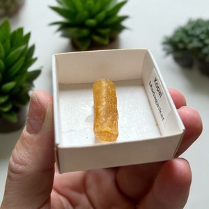 May include: A small, amber-colored piece of copal resin in a white box with a label that reads "Kopal Madagascar".