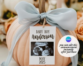 May include: A light pink pumpkin with a blue ribbon tied around the stem. A white card with a black border is attached to the ribbon. The card has a black and white ultrasound image, the text "Baby Boy Anderson", and the date "May 2025".