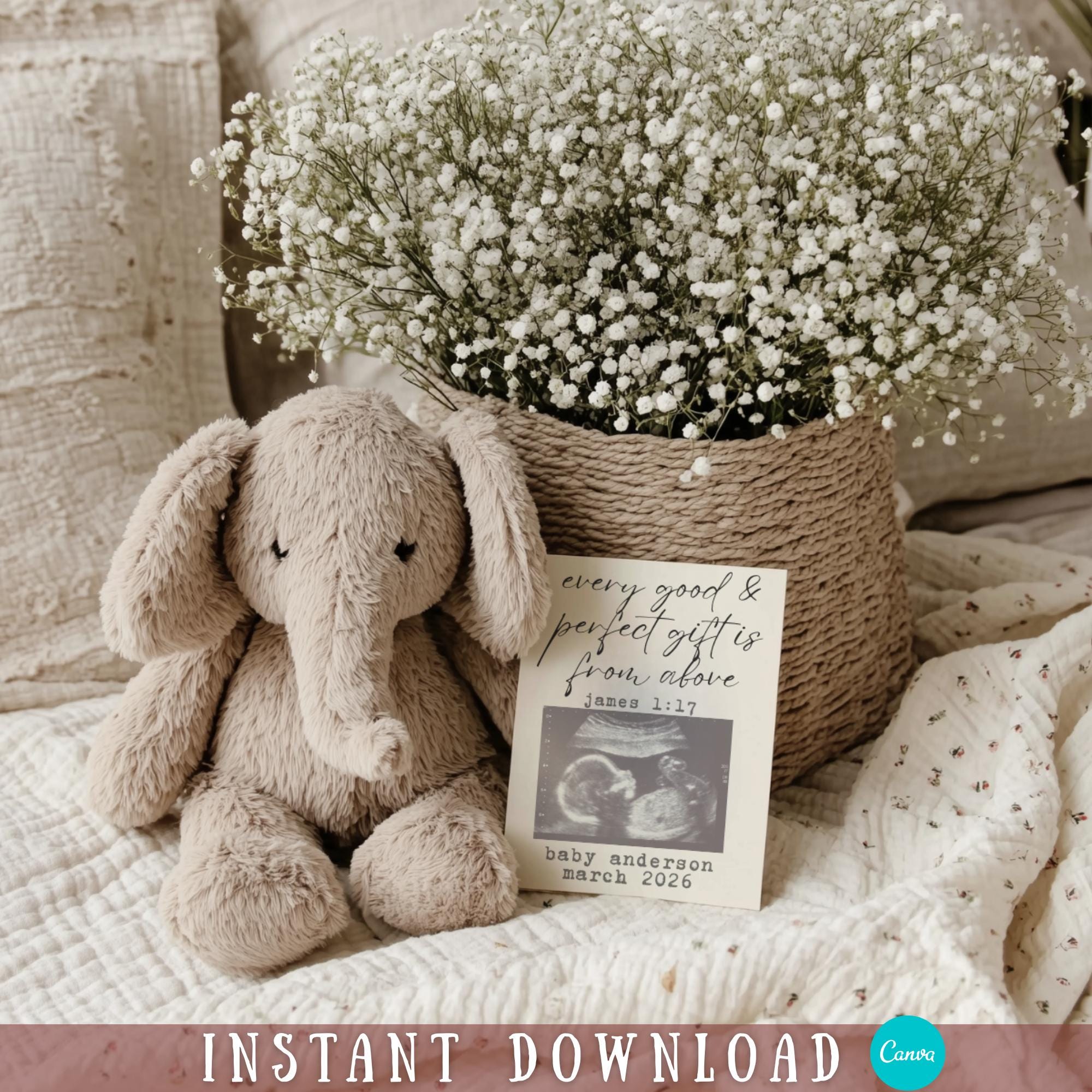 Religious Pregnancy Announcement Digital Christian Baby Announcement Template Miracle Baby Announcement Every Good and Perfect Gift Bible