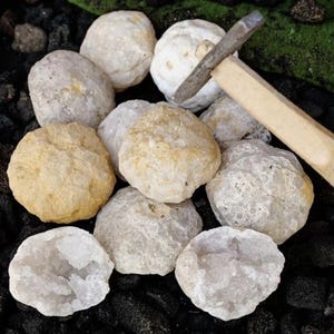 Könnte beinhalten: Eine Ansammlung runder, texturierter Geoden in Weiß-, Creme- und Hellgelbtönen, wobei einige kristalline Innenräume aufweisen. Ein kleiner Metallhammer mit Holzgriff liegt auf einem der Steine und verdeutlicht deren Größe.