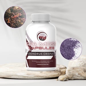 Wild-harvested Authentic PURPLE Peruvian Irish Sea Moss Capsules | Chondrus Crispus