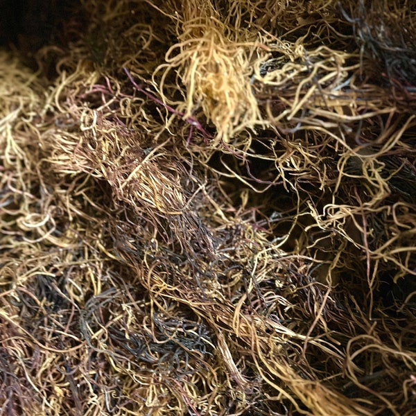 Wild-harvested Authentic Honduran Sea Moss | Sundried