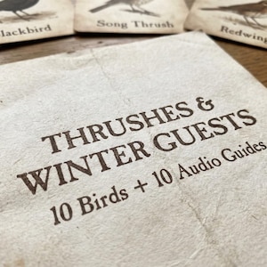 Puede incluir: Primer plano de una guía titulada "Thrushes & Winter Guests" con el texto "10 Birds + 10 Audio Guides". La guía está sobre un papel texturizado blanquecino. En el fondo, tarjetas de aves con nombres como "Blackbird" y "Redwing".