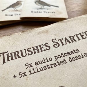 Puede incluir: Primer plano de tarjetas con ilustraciones de aves y texto. La tarjeta superior dice "THRUSHES STARTER" con "5x podcasts de audio + 5x dossiers ilustrados" debajo. Otras tarjetas muestran ilustraciones de aves.