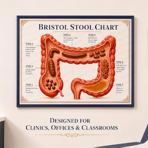 May include: A framed Bristol Stool Chart poster featuring a detailed anatomical illustration of the human large intestine. The chart displays seven types of stool with descriptive text for each, labeled Type 1 through Type 7, in a medical office.