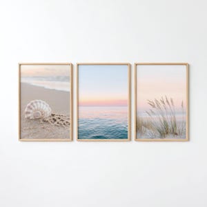 Peut inclure: Trois impressions encadrées sur le thème de la plage. L'impression de gauche montre un coquillage sur le sable près de l'océan. L'impression du milieu représente l'océan au coucher du soleil. L'impression de droite montre des herbes de plage sur le sable.
