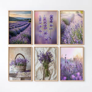 May include: A set of six framed wall art prints featuring lavender themes. The images display purple lavender fields, close-up lavender stems, a woven basket filled with lavender flowers, and a tied bouquet of lavender resting on white fabric.