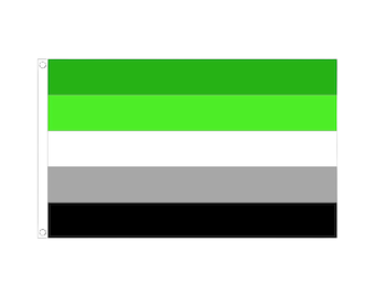 HBTQ+-flagga - En romantisk flagga - HBTQ-banderoll - Aromantic-flagga - CSD-banderoll - 90 x 150 cm polyesterflagga - Aromantic-flagga, gåva