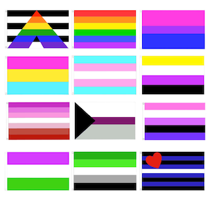 Può includere: Un set di 12 bandiere arcobaleno, ciascuna rappresentante un diverso orientamento sessuale o identità di genere. Le bandiere sono disposte in tre file di quattro. Le bandiere sono tutte in tessuto e hanno uno sfondo bianco. Le bandiere sono tutte di colori diversi e hanno simboli diversi.