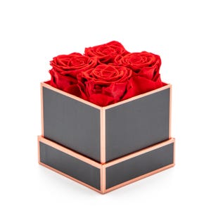 ALAIYE Preserved Roses – Luxury Eternal Roses for Mother’s Day, Anniversary & Romantic Gifts