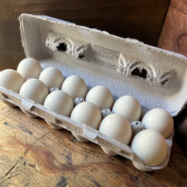 Fresh Khaki Campbell Duck Eggs |Organic Free Range Unwashed Fertilized Eggs