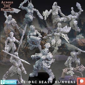 May include: A set of ten detailed miniature figures of female orcs, each with unique weapons and armor. The figures are painted in shades of gray and feature intricate details. The figures are posed in dynamic action poses, ready for battle. The figures are part of a tabletop game or role-playing game.