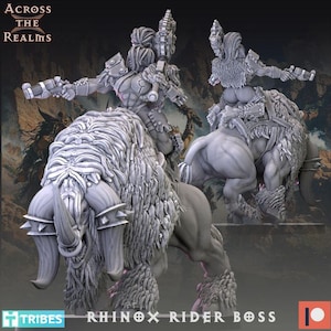 May include: A detailed, gray 3D-printed miniature of a Rhinox Rider Boss, a fantasy creature with a rider. The Rhinox has large horns and fur, and the rider is armored. The text "Across the Realms" and "RHINOX RIDER BOSS" are visible.