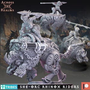 5 She Orc Rhinos Riders