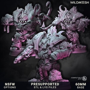 May include: A digitally sculpted, detailed fantasy figure with intricate armor and demonic features. The image includes the text "NSFW OPTIONS", "PRESUPPORTED STL & LYS FILES", and "60MM BASE". The figure is designed for tabletop gaming.