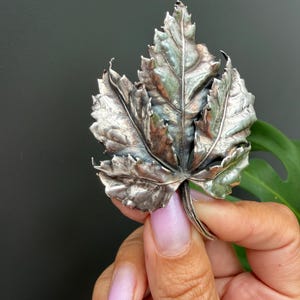 Op de afbeelding: Een zilverkleurige metalen broche in de vorm van een gedetailleerd esdoornblad. Het oppervlak heeft een getextureerde, geoxideerde afwerking met zichtbare nerven en gekrulde randen, wat zorgt voor een realistische botanische uitstraling.