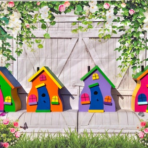 Wacky Whimsical Wooden Birdhouse, Hand painted, 4 color combinations available.