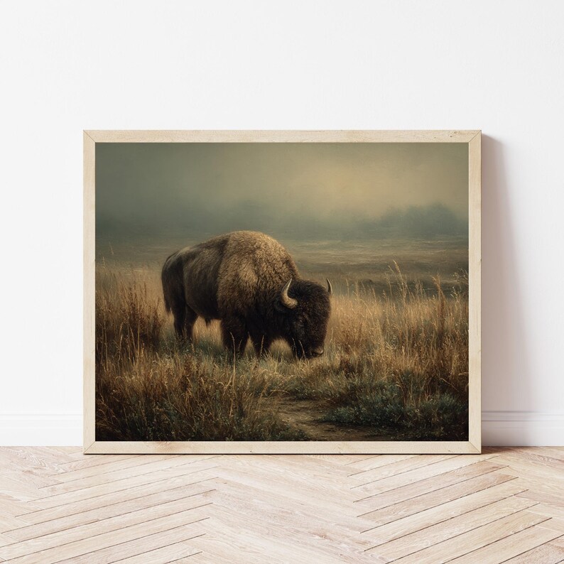Bison Grazing in Prairie Field: Rustic 19th Century Style Wall Art ...