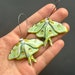 see more listings in the Moth dangle earrings section