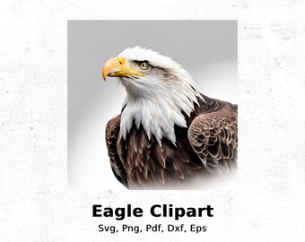 Bald Eagle Clipart: Digital Art, Vector Graphics (Digital Download)
