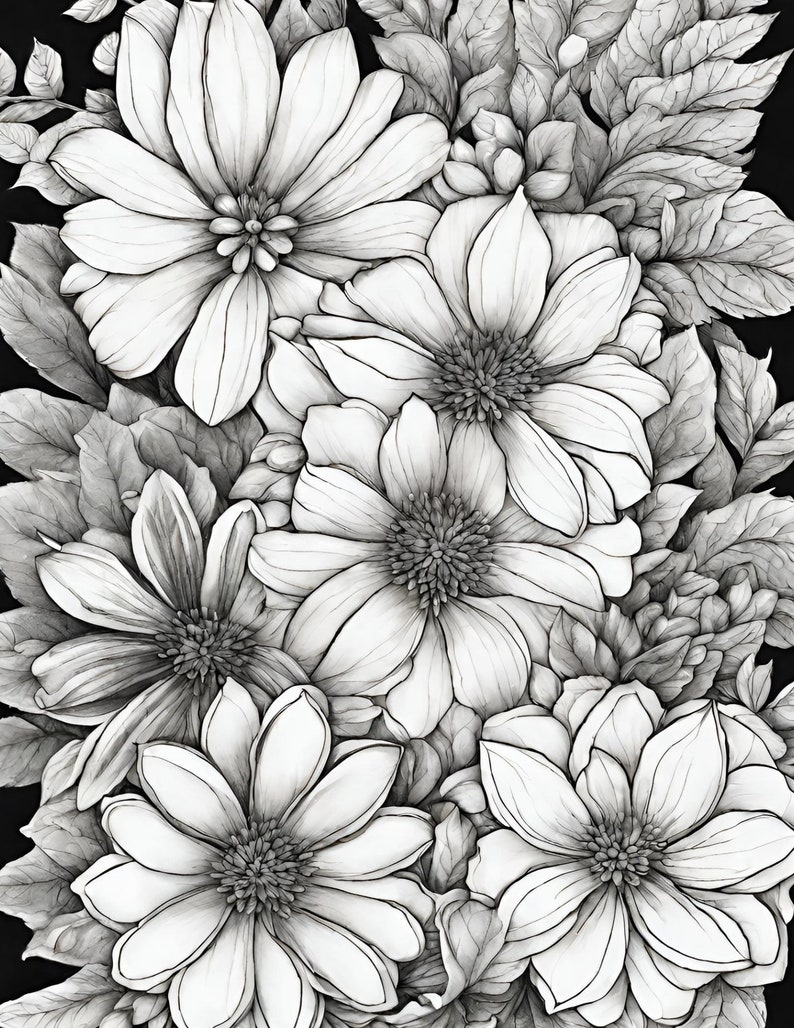 black and white line drawing for coloring books of daisies