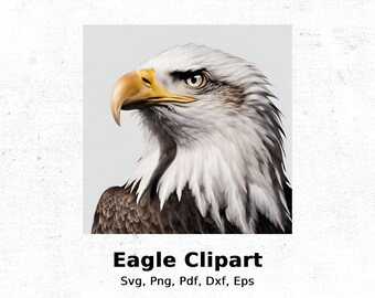 Eagle Head Clipart: Wildlife Illustration (Digital Download)