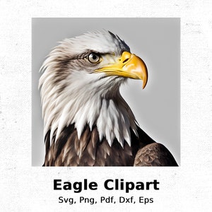 Eagle Head Clipart: Wildlife Bird Art (Digital Download)