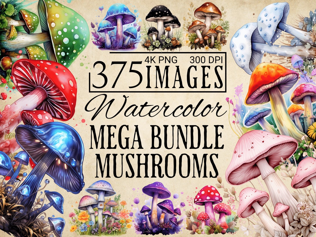 375 PNG Watercolor Mushrooms Bundle Clipart, Fairy Mushroom, Mushroom ...