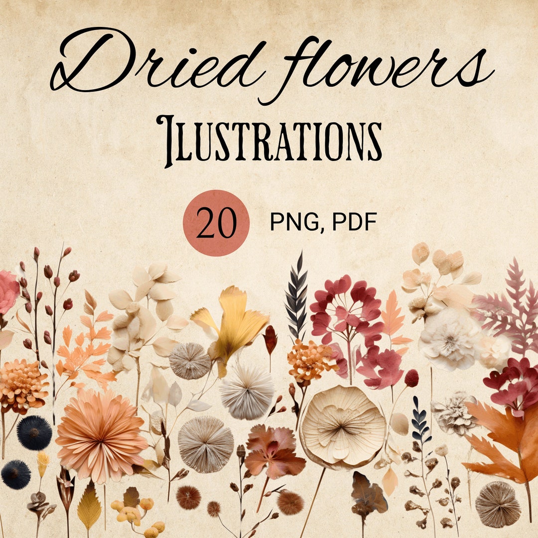 20 Realistic Dried Flower Bundlepngwall Decor Arthome Etsy