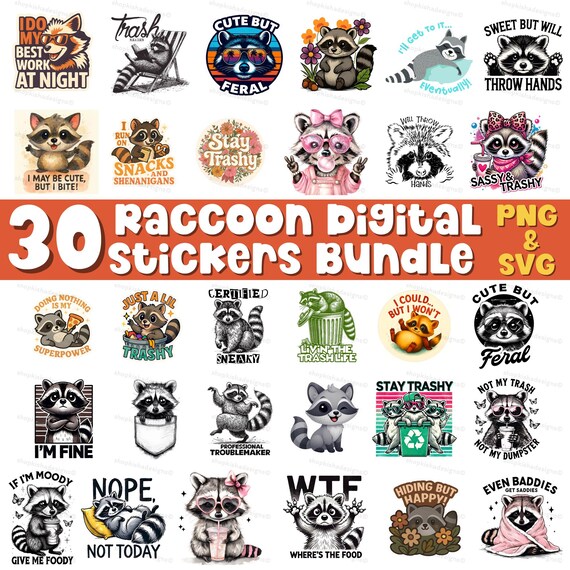 Raccoon Sticker Digital Sarcastic Animal PNG Trashy Raccoon Bundle Quote Sayings Print Raccoon Trash Sticker Raccoon SVG Raccoon Clipart