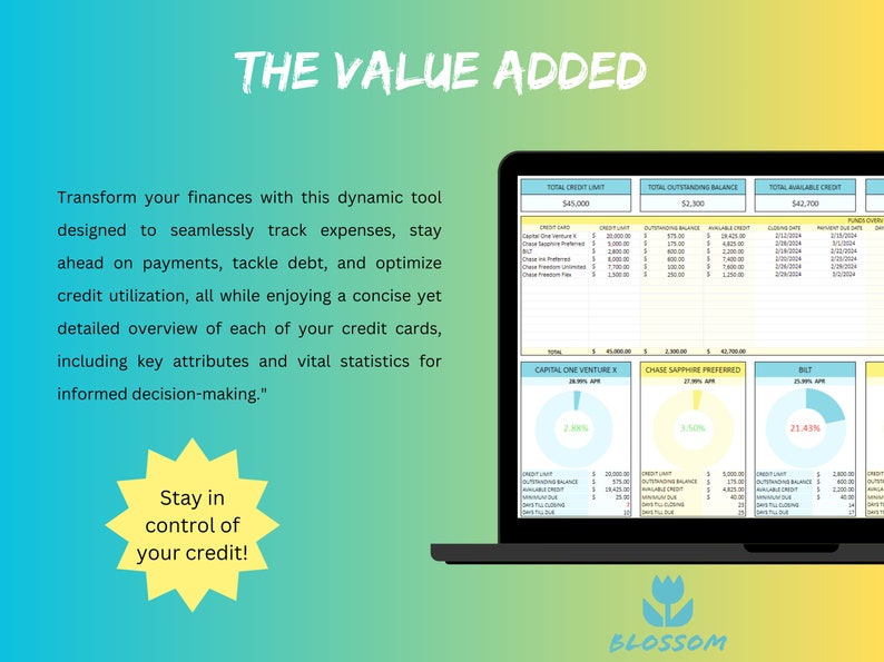May include: A laptop screen displaying a spreadsheet with credit card information, including credit limits, outstanding balances, and available credit. The spreadsheet is titled "The Value Added" and includes a statement about transforming finances. The screen also shows pie charts representing credit utilization for three different credit cards. The laptop is on a yellow and green background with a flower logo at the bottom.