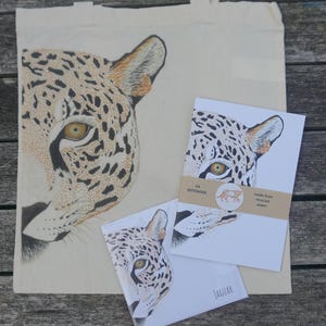 Conjunto - Espécies de gatos (bolsa, caderno, cartão)