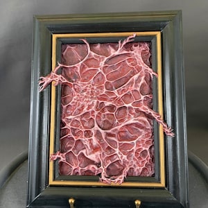 Może przedstawiać: Ramka z obrazem przedstawiającym teksturalny, organiczny wzór w kolorze czerwonym i białym. Rama jest czarna z złotym wewnętrznym obramowaniem.