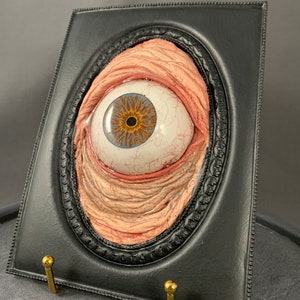 May include: A framed, realistic-looking, sculpted human eyeball with a blue iris and a brown pupil. The eyeball is set in a black frame with a decorative oval border.