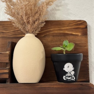 May include: A beige ceramic vase with dried pampas grass and a black terracotta pot with a green succulent plant. The pot has a black and white illustration of Charlie Brown holding a football.