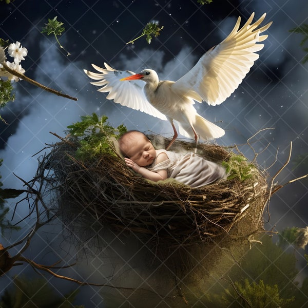 Stork's Nest Newborn Digital Backdrop: Bird's Nest Scene for Baby Girl or Boy Composite Photography (JPG File)