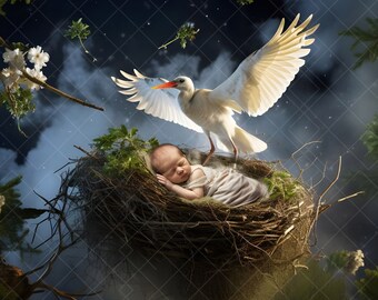 Stork's Nest Newborn Digital Backdrop: Bird's Nest Scene for Baby Girl or Boy Composite Photography (JPG File)