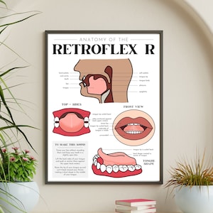 Anatomy of the Retroflex R Speech Sound Poster, Speech Sound Cue Poster, Speech Therapy Poster, Speech Room Decor, Speech Pathology Poster