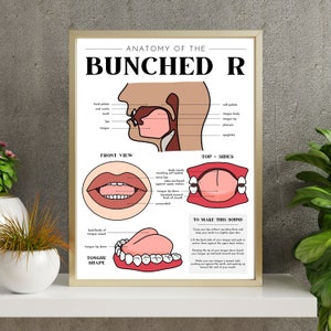Anatomy of the Bunched R Speech Sound Poster, Speech Sound Cue Poster, Speech Therapy Poster, Speech Room Decor, Speech Pathology Poster