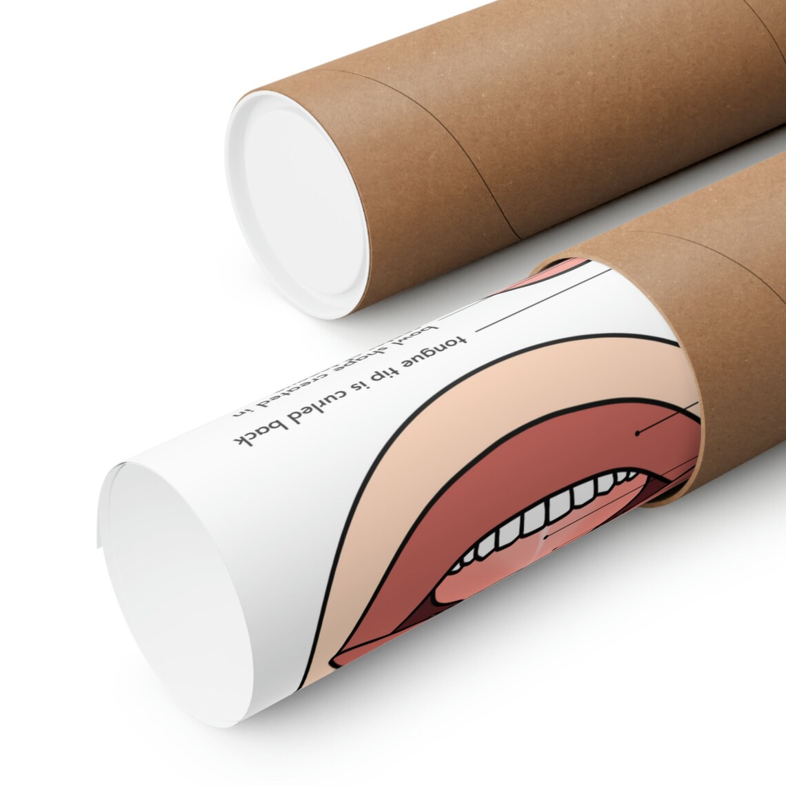 Retroflex R Flyer Anatomy of the Retroflex R Speech Sound Poster, Speech Sound Cue Poster ...
