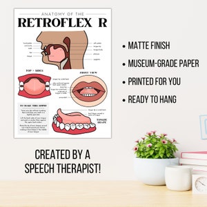 Anatomy of the Retroflex R Speech Sound Poster, Speech Sound Cue Poster ...