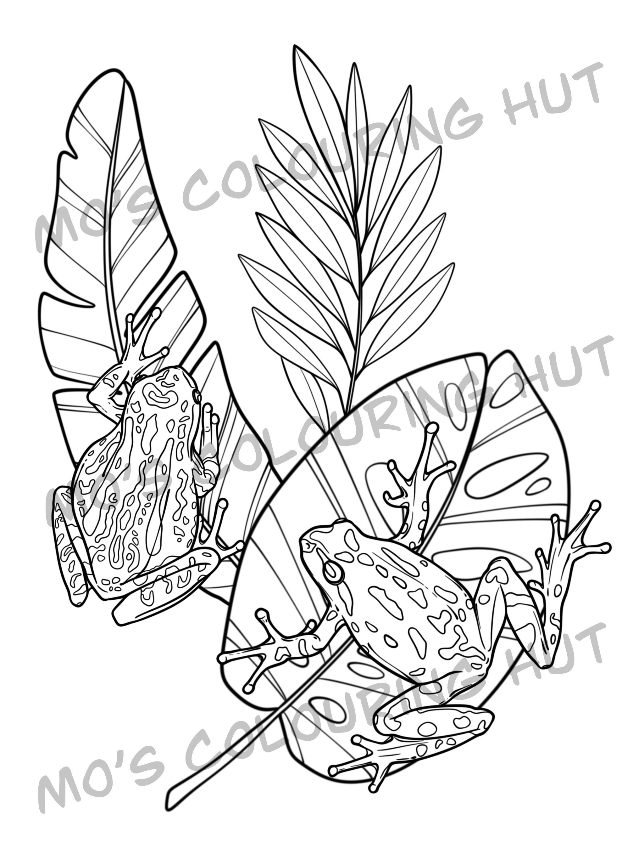 Frogs Colouring Pages Printable
