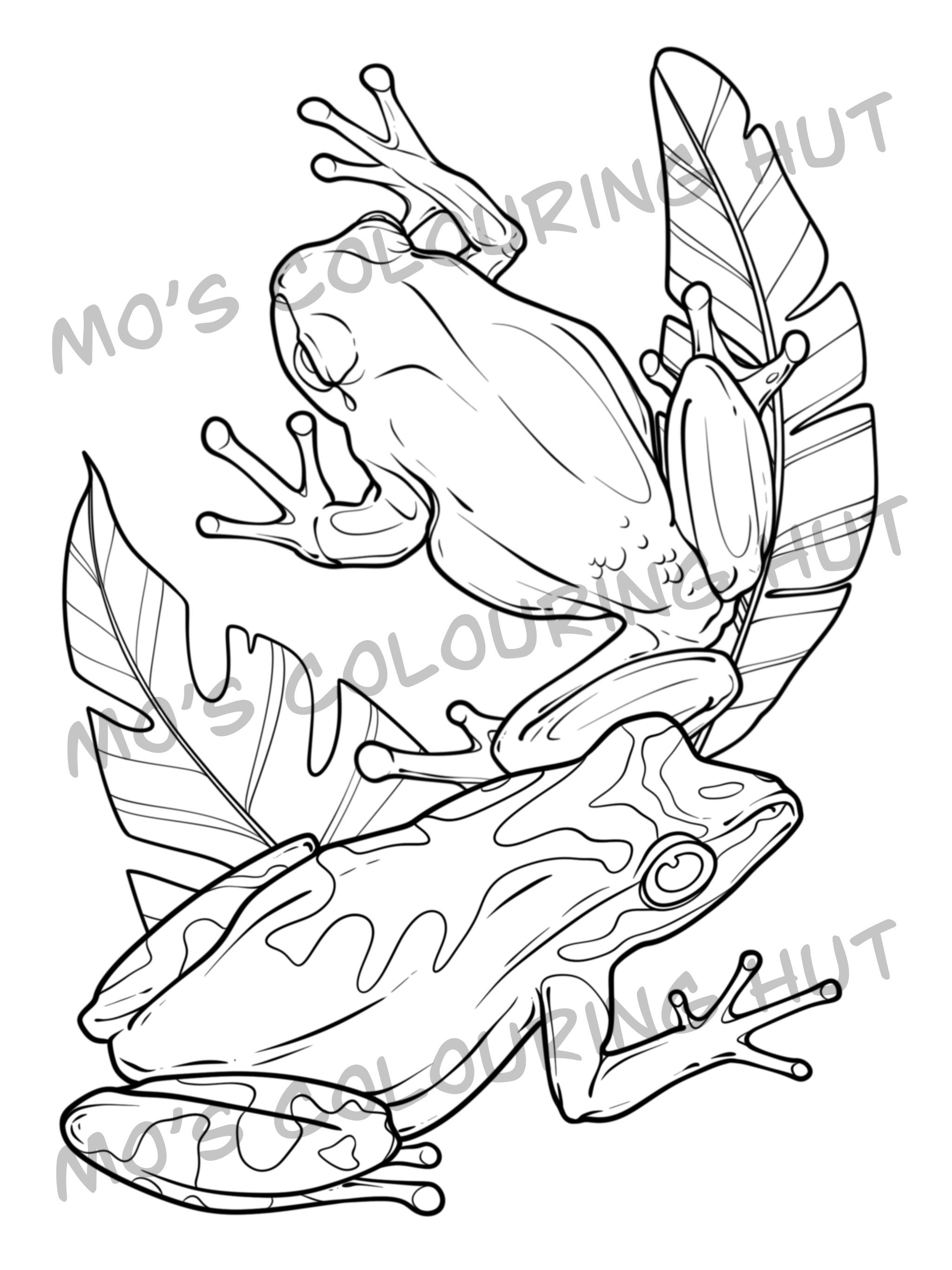 Frogs - 10 Printable Colouring Pages | Instant Digital Download ...