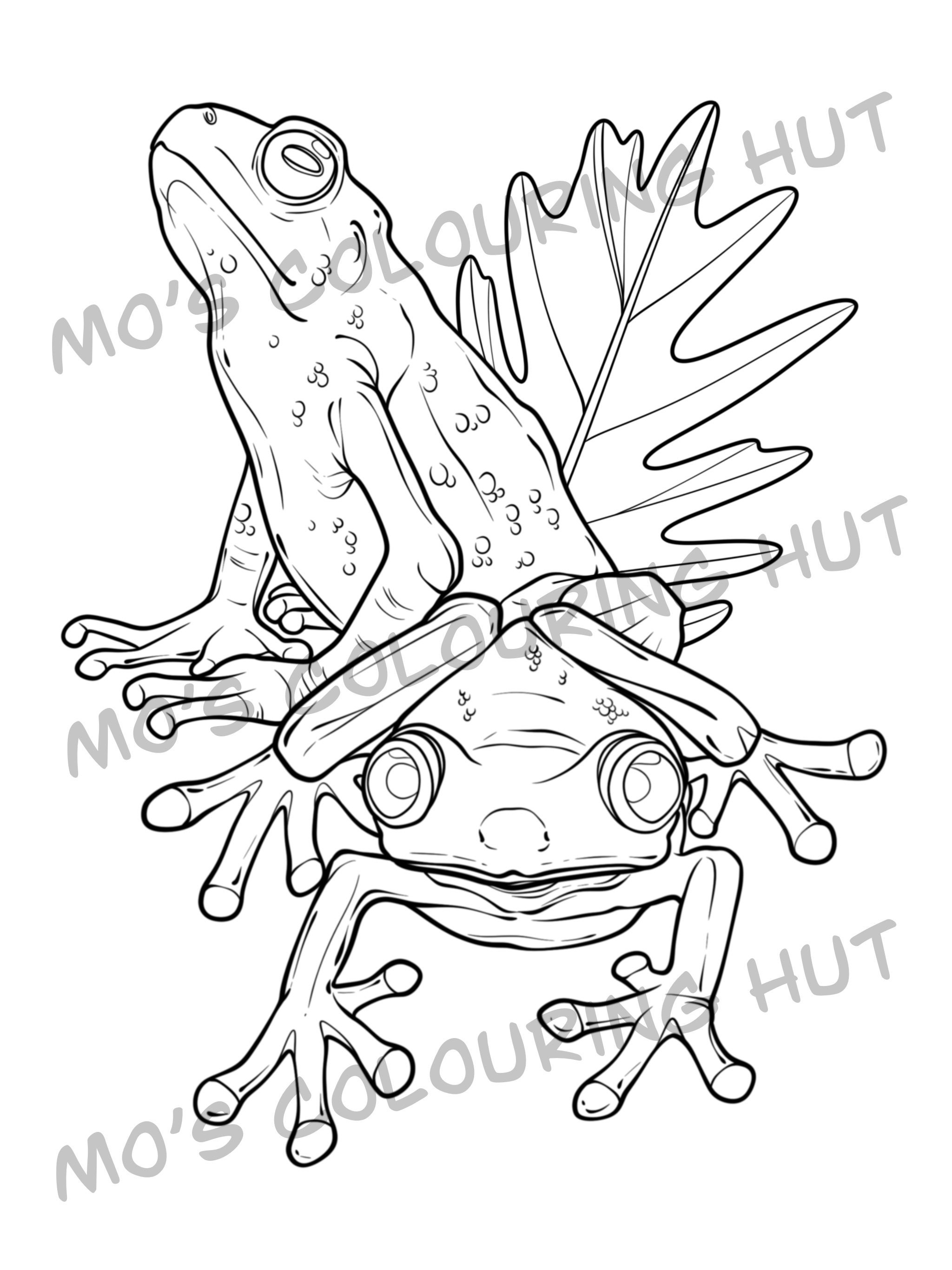 Frogs - 10 Printable Colouring Pages | Instant Digital Download ...