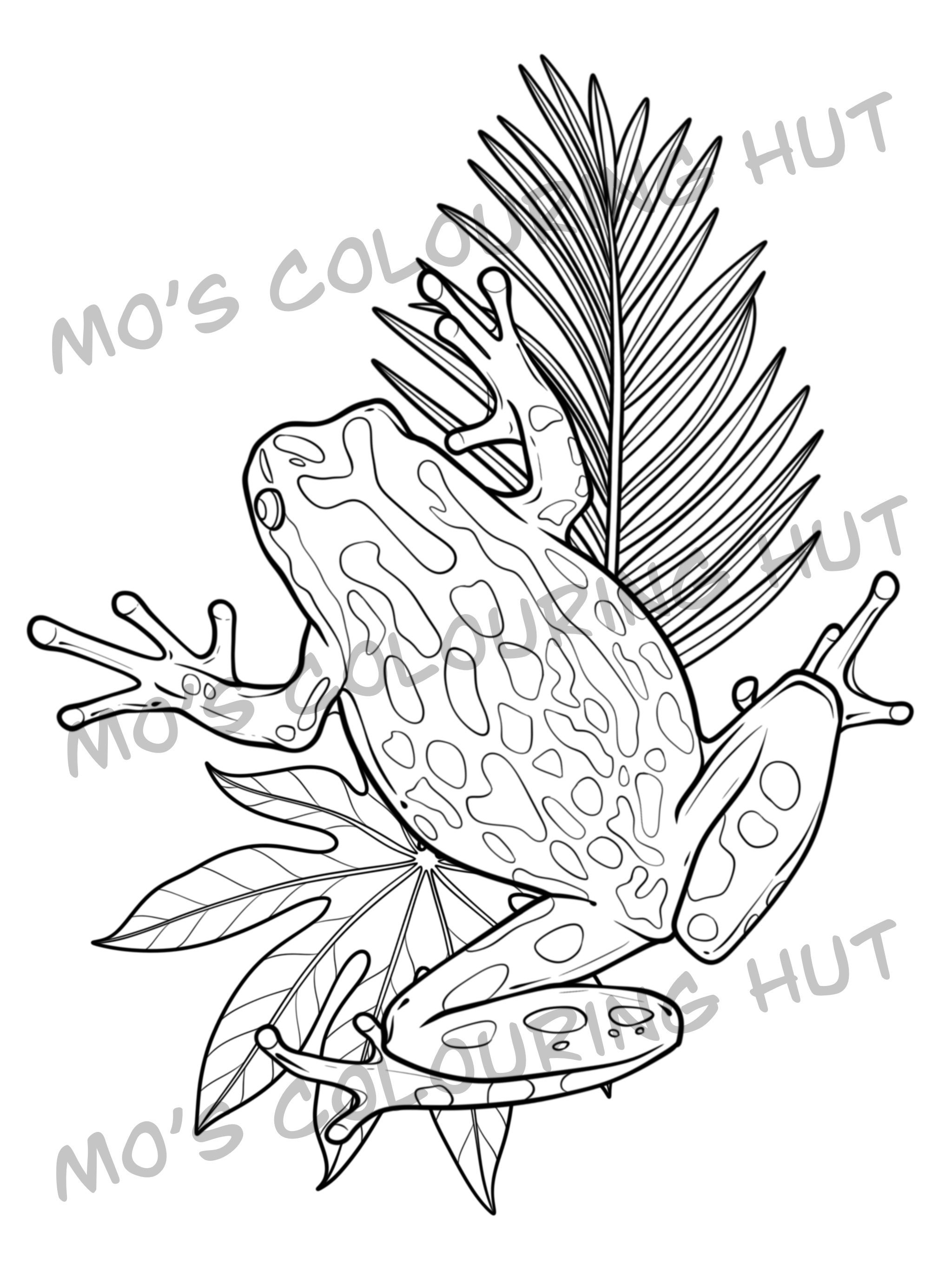 Frogs - 10 Printable Colouring Pages | Instant Digital Download ...
