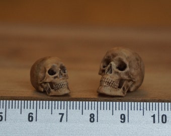 May include: Two small, detailed skull figurines in a light brown color are displayed on a wooden surface next to a ruler. The skulls have visible eye sockets, nasal cavities, and teeth, showcasing a realistic design. The ruler provides a size reference.