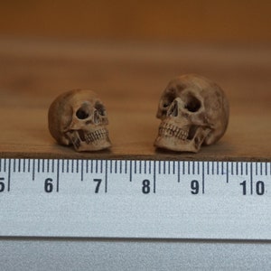 Miniature Human Skull, Horror Halloween diorama, terrarium supply