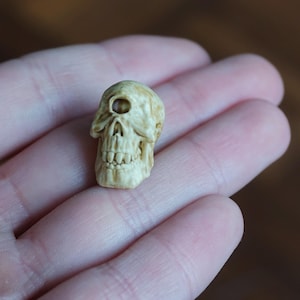 Miniatyr cyklopskalle, skräck Halloween-diorama, terrariumdekoration